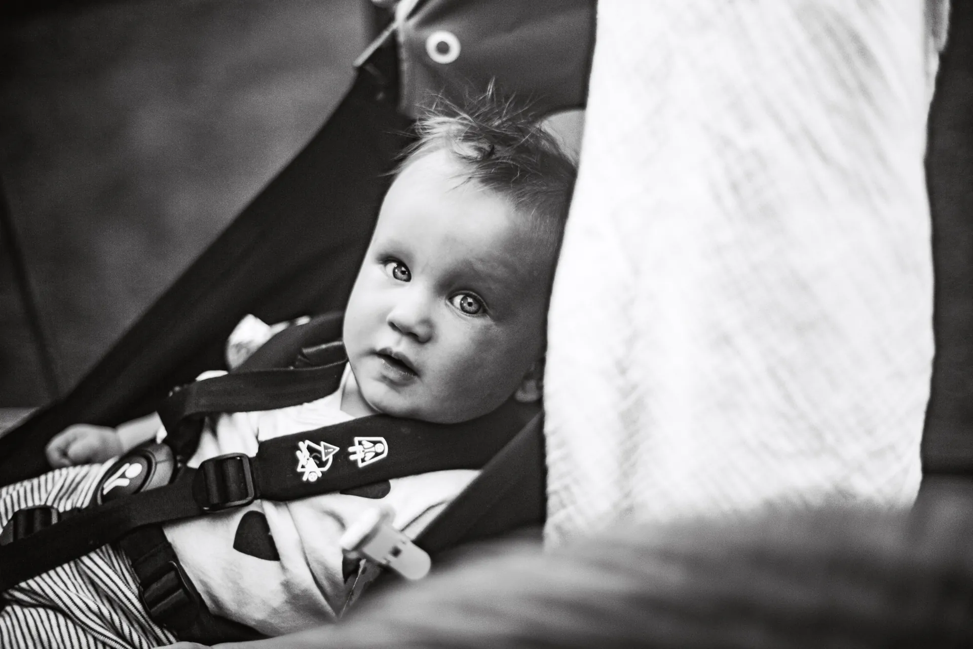 Family photography session