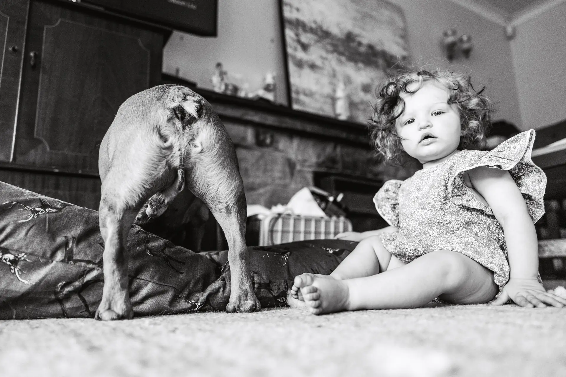 Baby girl sitting on the floor beside the family dog at home