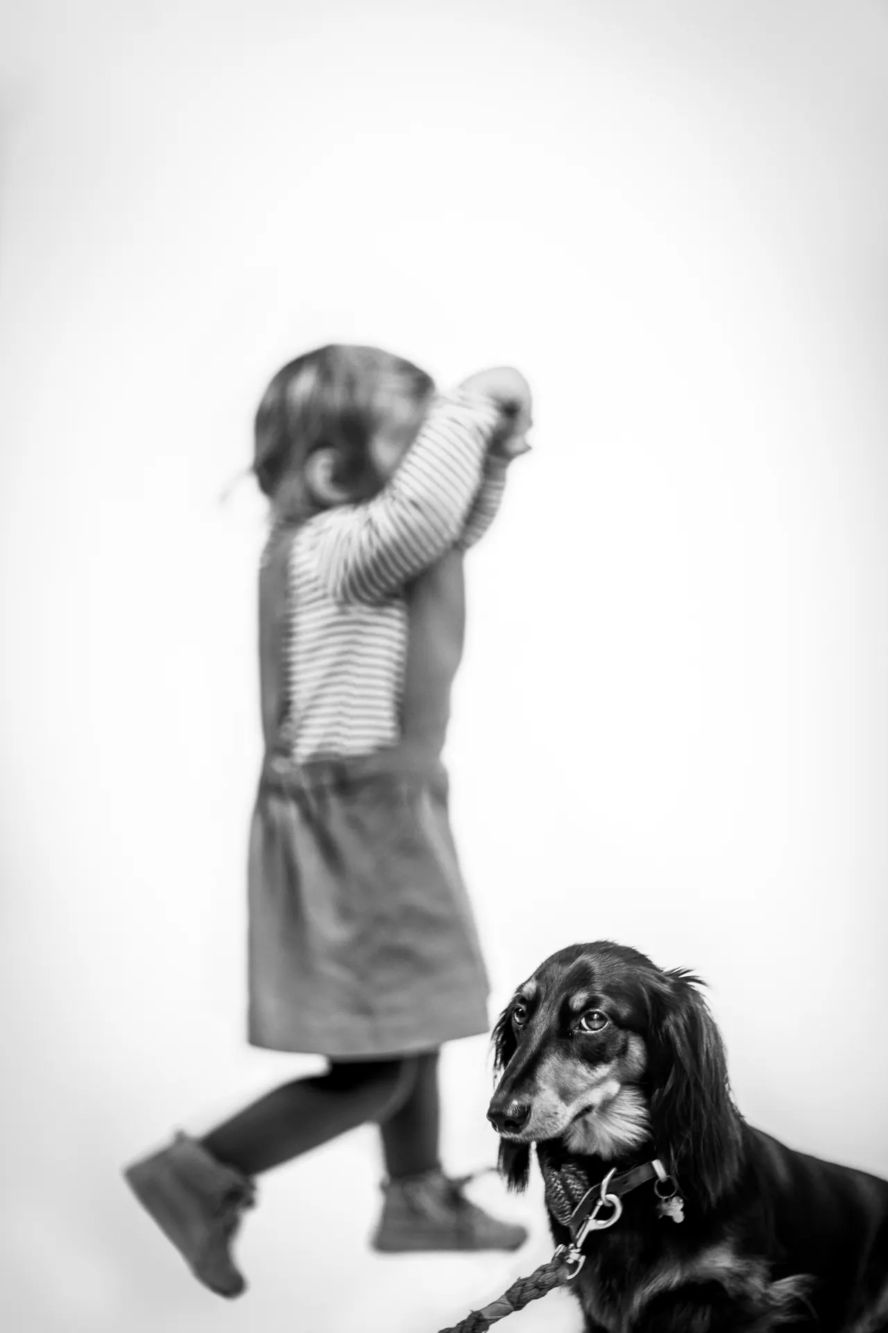 Girl walking with dachshund in studio