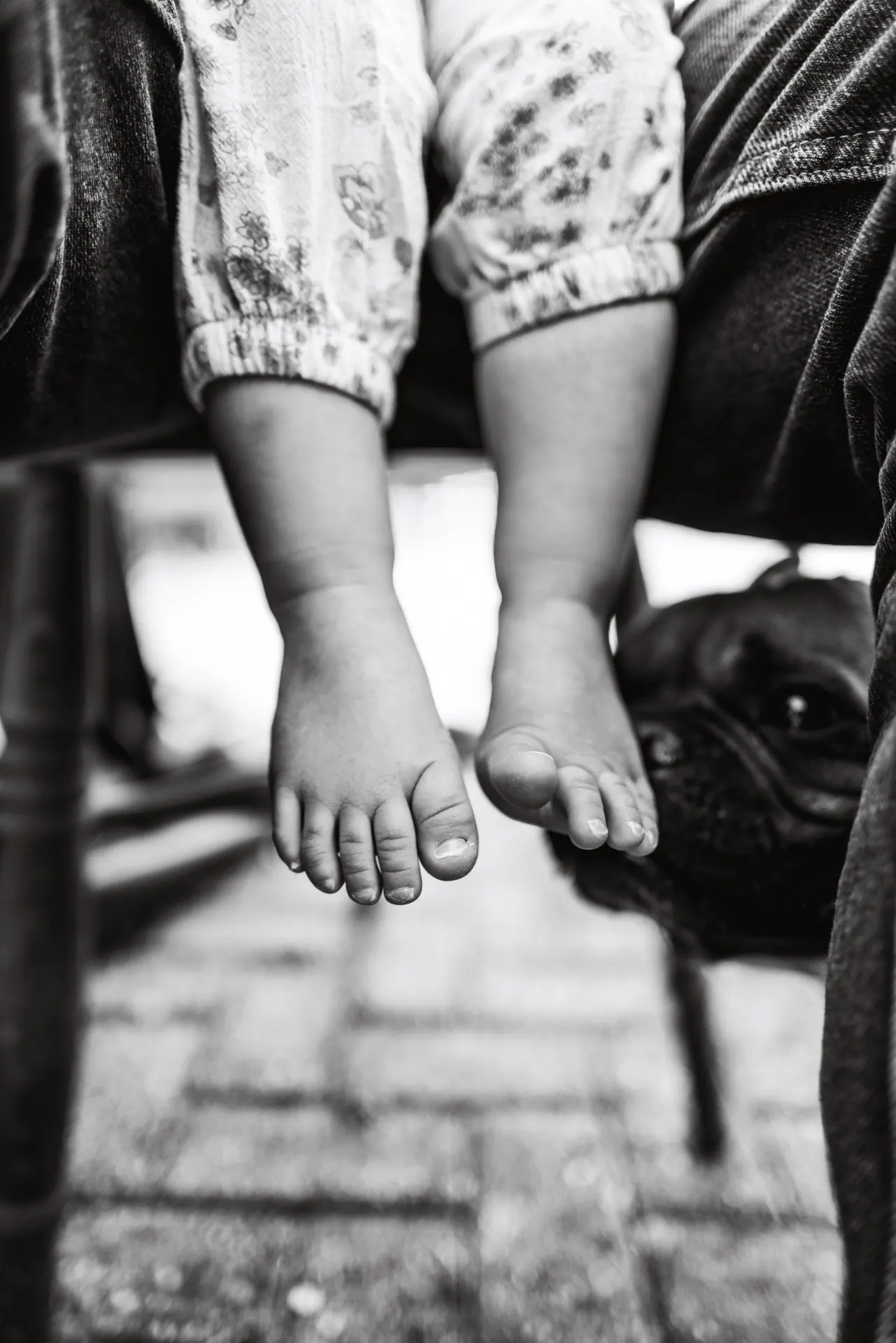 Close-up of a toddler's bare feet with a dog resting nearby