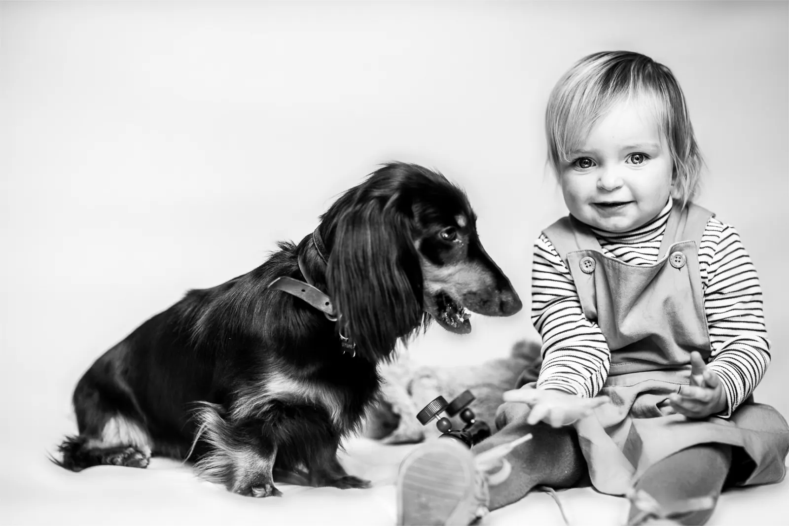 Toddler with dachshund in studio, black and white