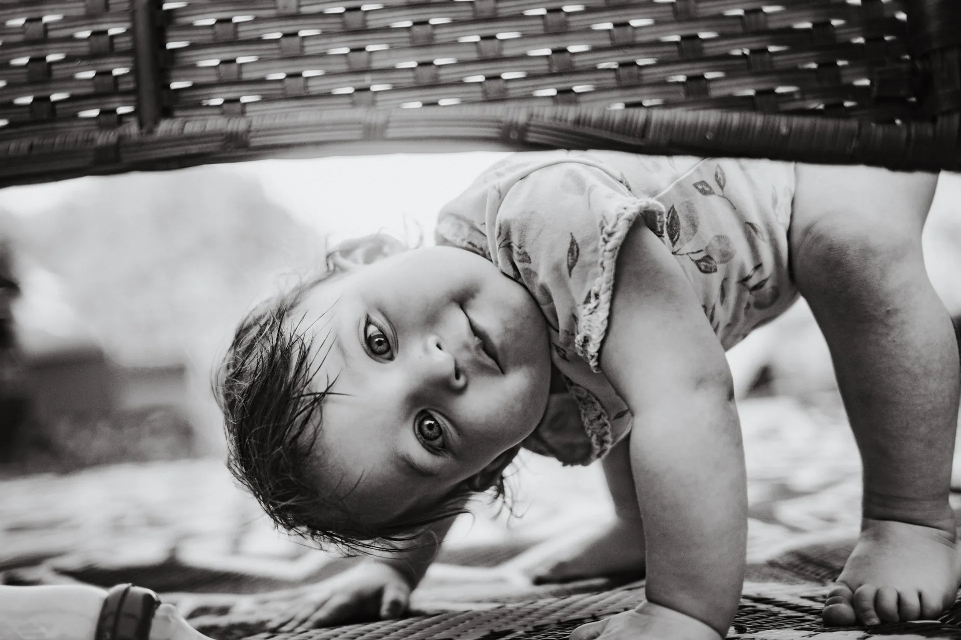Family photography session